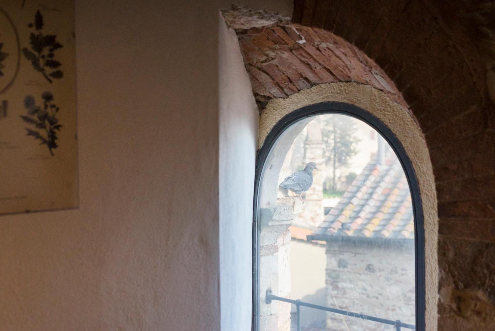 Il Chiostro Appartamenti & Suites Suvereto Kültér fotó