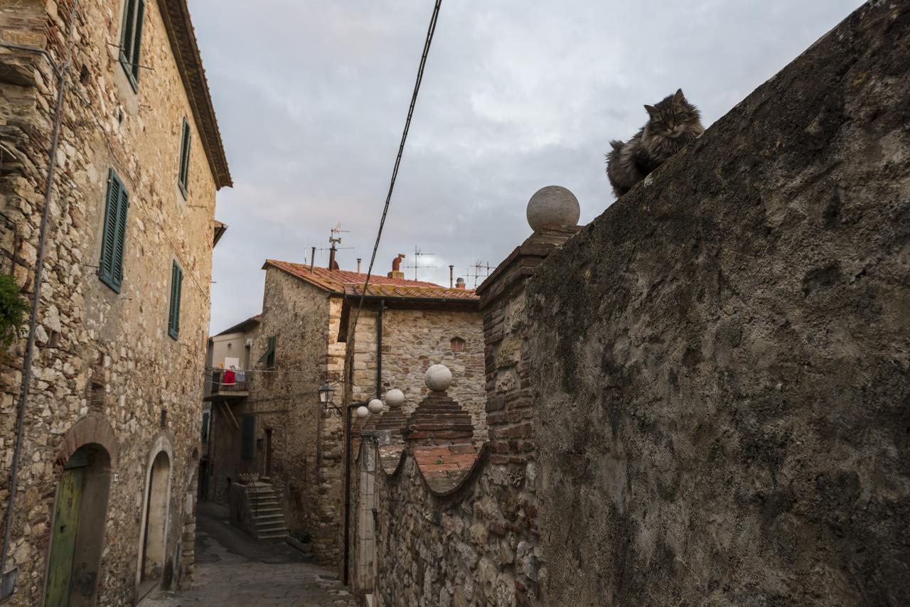 Il Chiostro Appartamenti & Suites Suvereto Kültér fotó